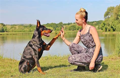 Frau Mit Hund